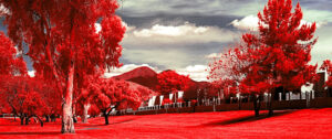 Sky ADF4